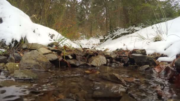 Сніг тане, струмок тече — стокове відео
