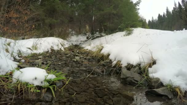 Snön smälter, creek flödena — Stockvideo