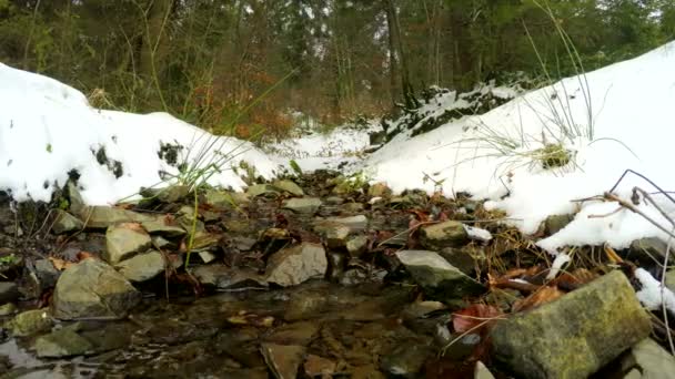 A neve derrete, o riacho flui — Vídeo de Stock