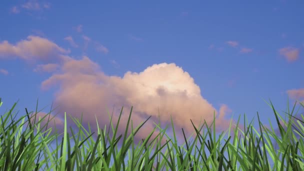 3d animación hierba y nubes lapso de tiempo — Vídeo de stock