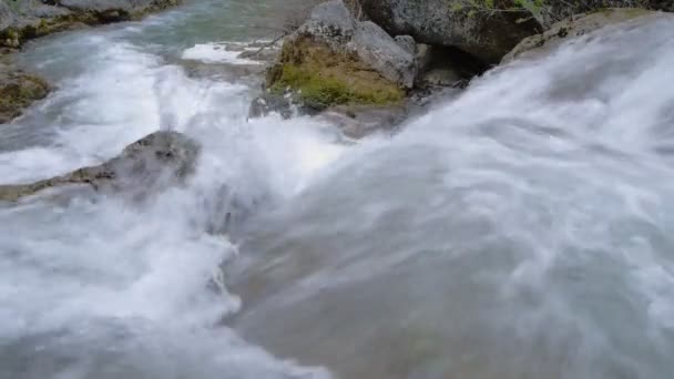 Bergrivier in het voorjaar — Stockvideo