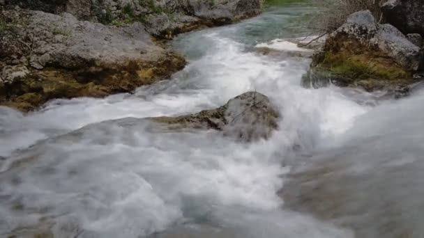 Ποταμός βουνού την άνοιξη — Αρχείο Βίντεο