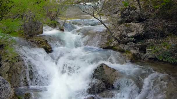 Fiume di montagna in primavera — Video Stock