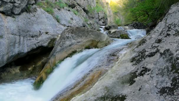 Bergfluss im Frühling — Stockvideo