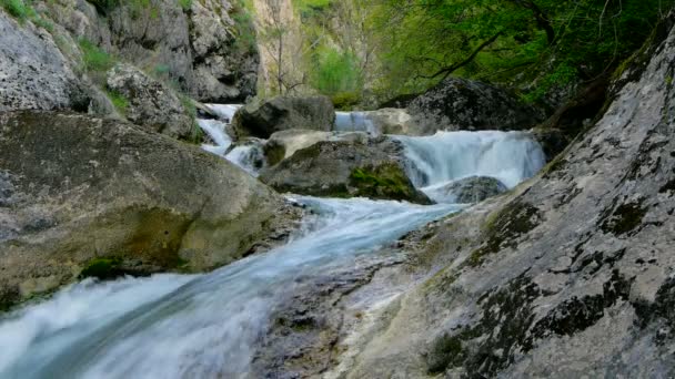 Ποταμός βουνού την άνοιξη — Αρχείο Βίντεο