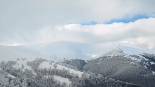 Winterlandschaft in den Bergen — Stockvideo