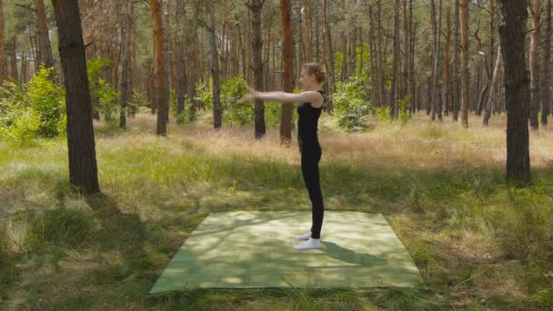 Master in wushu uit Oekraïne — Stockvideo