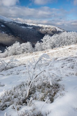 Dağlarda kış manzarası