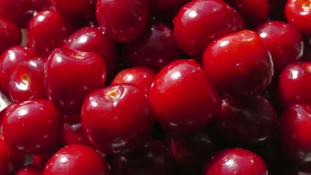 Cerezas frescas en tazón — Vídeos de Stock