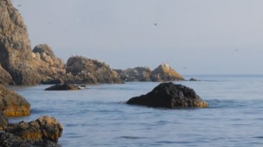 Kırım 'daki Karadeniz kıyısı