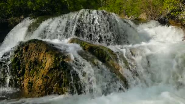 A hegyi folyó tavasszal — Stock videók