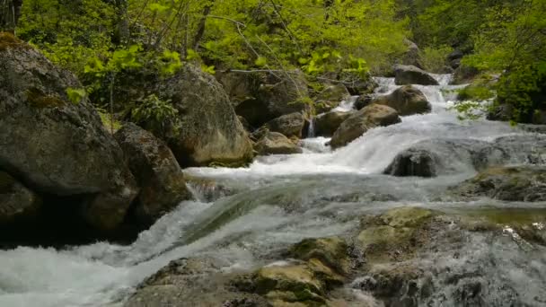 Der Gebirgsfluss im Frühling — Stockvideo