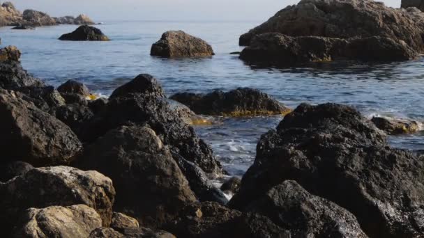 A costa do Mar Negro na Crimeia — Vídeo de Stock