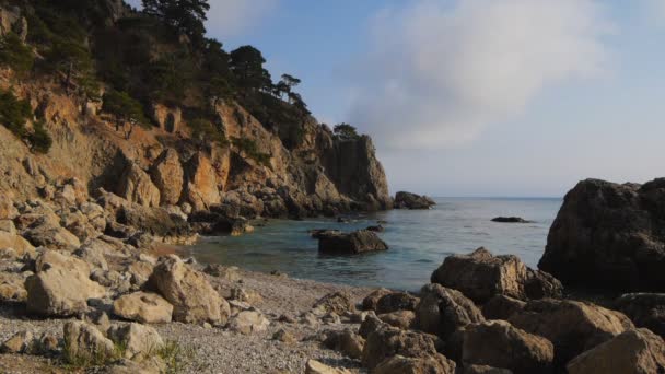 Vagues de mer en été — Video