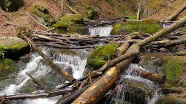 Şelale village Pylypets yakınındaki dağlarda