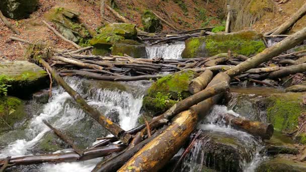 Waterval in Bergen in de buurt van dorp Pylypets — Stockvideo