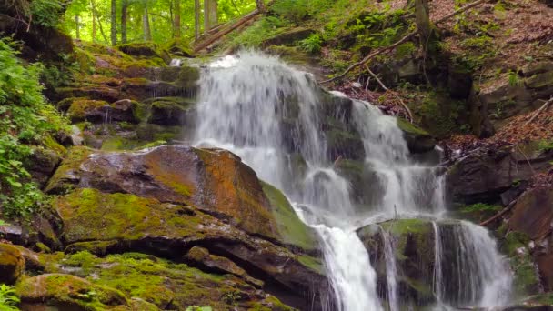 Waterval in Bergen in de buurt van dorp Pylypets — Stockvideo