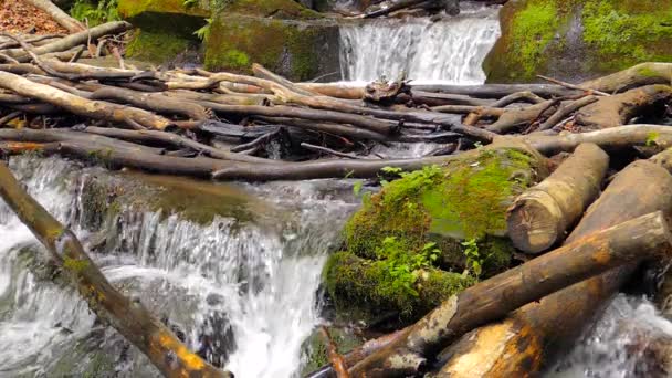 Waterfall in  mountains near  village Pylypets — Stock Video