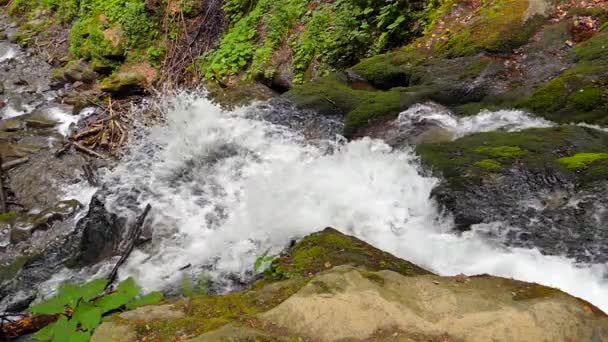 Waterfall in  mountains near  village Pylypets — Stock Video