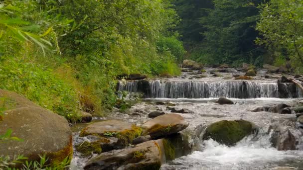 Vattenfall i bergen nära byn Pylypets — Stockvideo