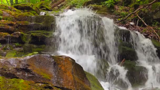 Cascata nelle montagne vicino al villaggio Pylypets — Video Stock