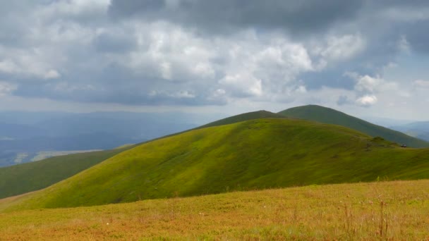 Paisaje en el bosque, nubes rápidas — Vídeos de Stock