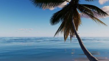 Güneş ve tropikal palmiye ağaçlarıyla gökyüzünün altından bak. Seyahat, gezi, turizm, tatil, dinlenme, hafta sonu..