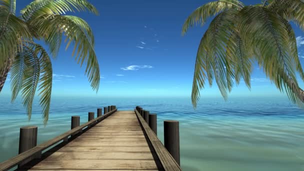 Palm Beach and the sea — Stock Footage Palm Beach and the sea Royalty Free Stock Footage