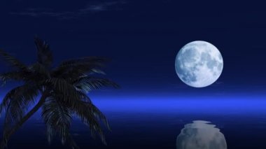 Sakin suda yansıyan güzel ay