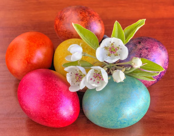 Colorido pintado ovos de Páscoa e flores frescas da primavera em madeira — Fotografia de Stock