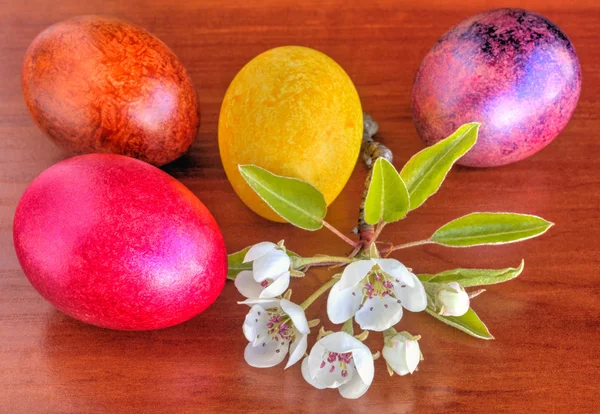 Colorido pintado ovos de Páscoa e flores frescas da primavera em madeira — Fotografia de Stock