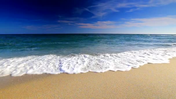 Vagues de l'océan sur la plage — Video