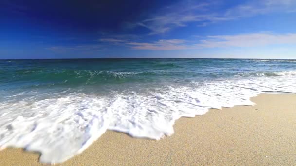 Océano Ondas en la playa — Vídeos de Stock