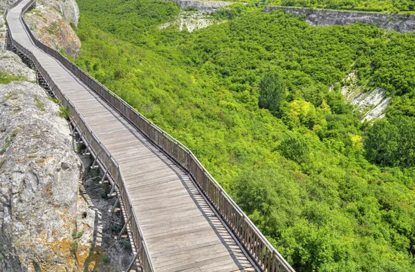 Красивий пейзаж з дерев'яним мостом — стокове фото