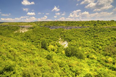 Güzel yaz manzarası