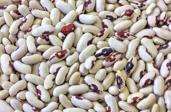 Renkli kuru fasulye arka plan