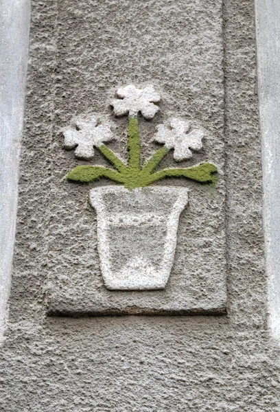 Hermosa decoración de pared con flores de piedra en maceta — Foto de Stock