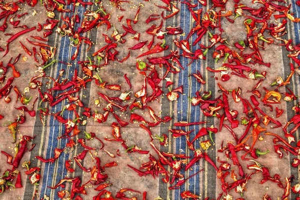 Doğranmış kırmızı biber kurutma — Stok fotoğraf