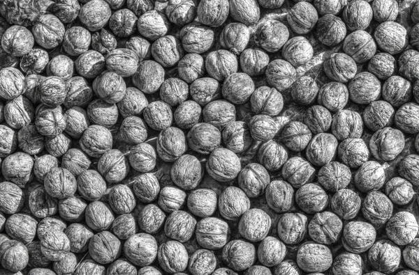 Fondo de nueces en blanco y negro —  Fotos de Stock