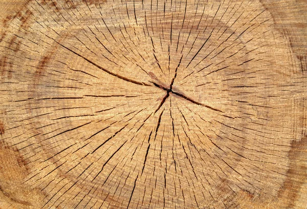 Πολύχρωμο ξύλινο υφή — Φωτογραφία Αρχείου
