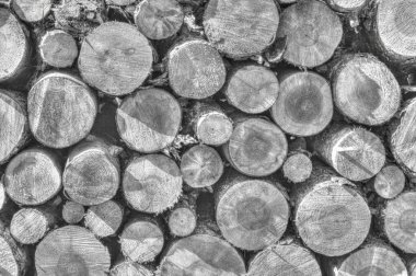 Ahşap arka plan siyah ve beyaz