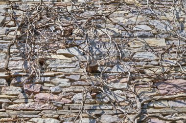 Taş duvar ahşap kirişler ile arka plan