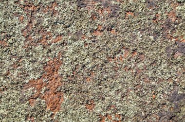 taş yüzey arkaplanı