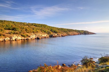 Kayalık kıyıda manzara