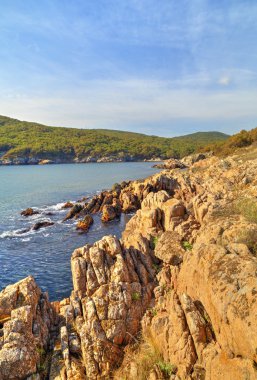 Kayalık kıyıda manzara