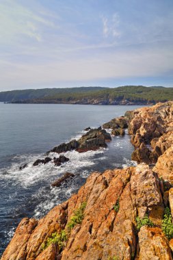 Kayalık kıyıda manzara