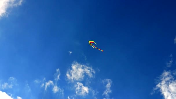 Цветной воздушный змей, летящий в небе — стоковое видео