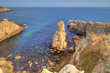 Kayalık kıyıda manzara