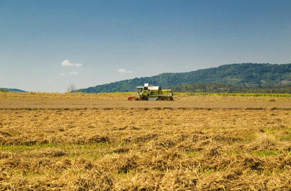 Harvester on the field — Stock Photo, Image