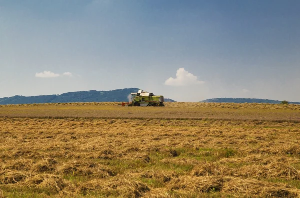 Harvester on the field — Stock Photo, Image